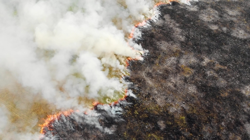 Horse Farm. | Freestock videos