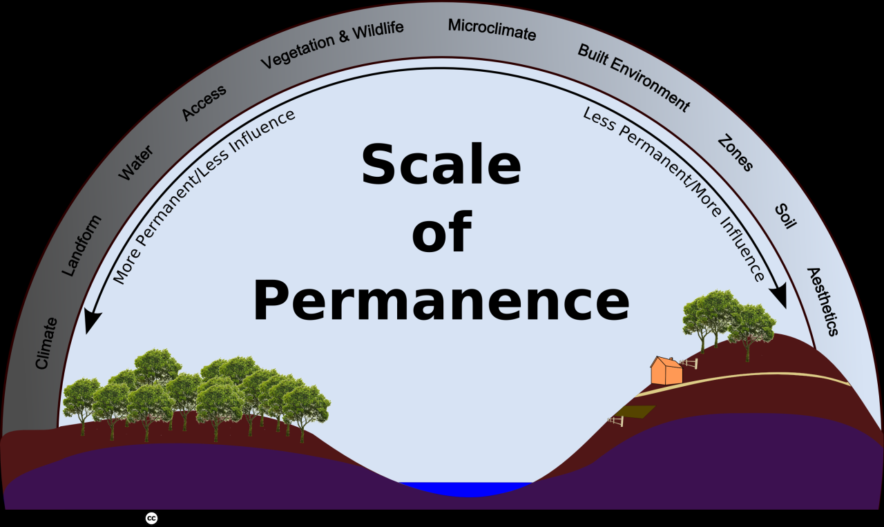 How to Scale Your Freelance Business
