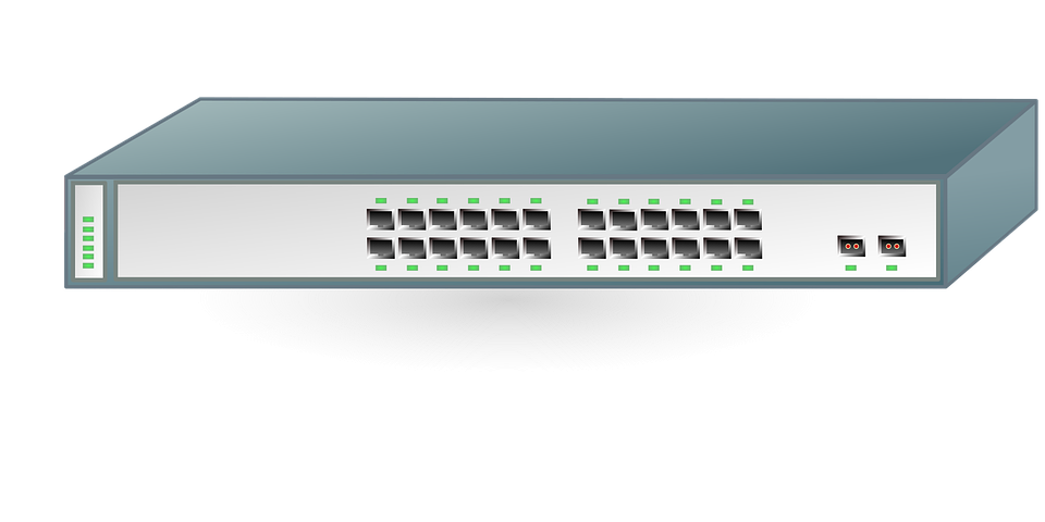 Family Switch - Wikipedia